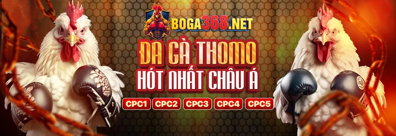 Các tính năng nổi bật của ứng dụng 888now Asia